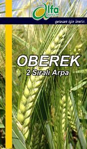 OBEREK 2 Sral Arpa Tohumu