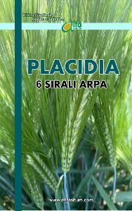 PLACIDIA 6 Sral Arpa Tohumu