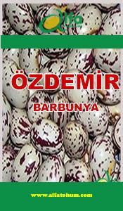 ZDEMR Barbunya Tohumu