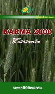 KARMA 2000 Triticale Tohumu